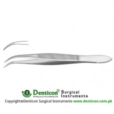 Splinter Forcep Curved - Serrated Jaws Stainless Steel, 11.5 cm - 4 1/2"